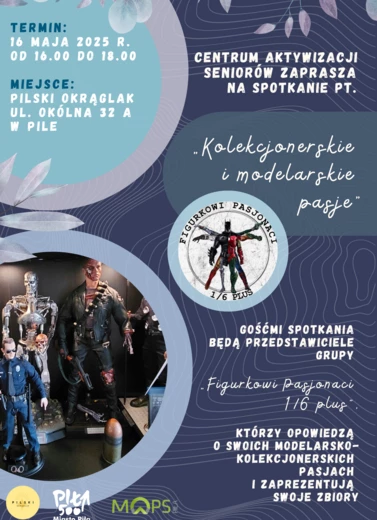 Kolekcjonerskie i modelarskie pasje