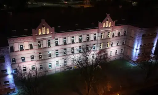 Zdjęcie do Piła podświetlona na biało