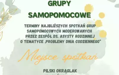 Zdjęcie do Spotkania Grup Samopomocowych|Problemy dnia codziennego