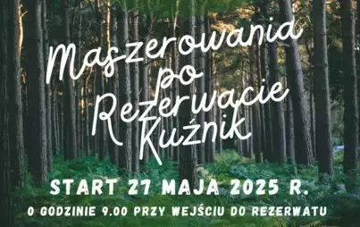 SzczegPlakat informujący o wydarzeniu pt. Maszerowanie po rozerwacie kuźnik. Plakat przedstawia drzewa w lecie oraz informację: Maszerowanie po Rezerwacie Kuźnik; Miejsce: spotykamy się przy wejściu do rezerwatu;  27 maja 2025 r., godz. 9:00;  Szczegółowe